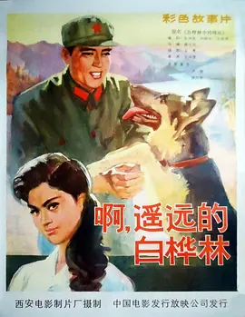 欧美浓毛老太乱人伦视频在线