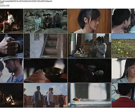 4399看片手机在线高清动画