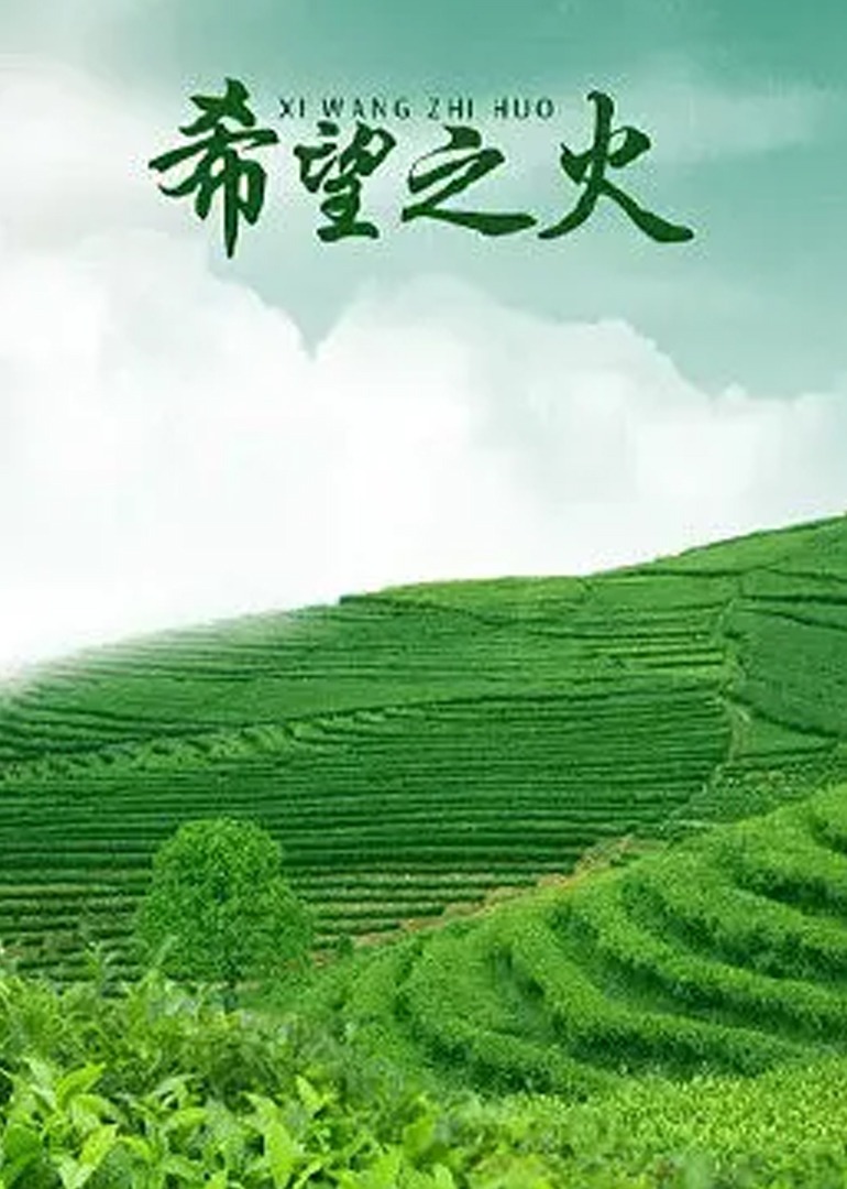 中文字幕在线有码午夜_自拍偷区亚洲综合激情_国产a级毛片体验区_亚洲午夜理论无码电影 - BD国语免费全集观看