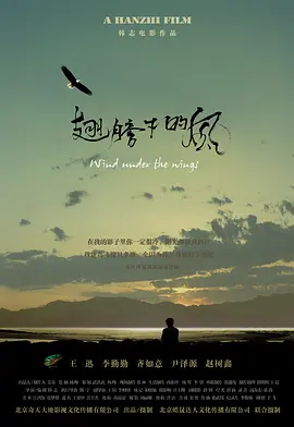 国产亚洲品久久久久久久无码