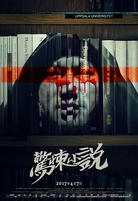 久久精品a国产一级