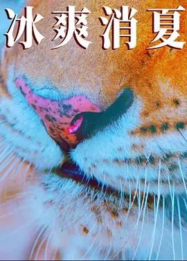 人妻无码视频一区二区三区