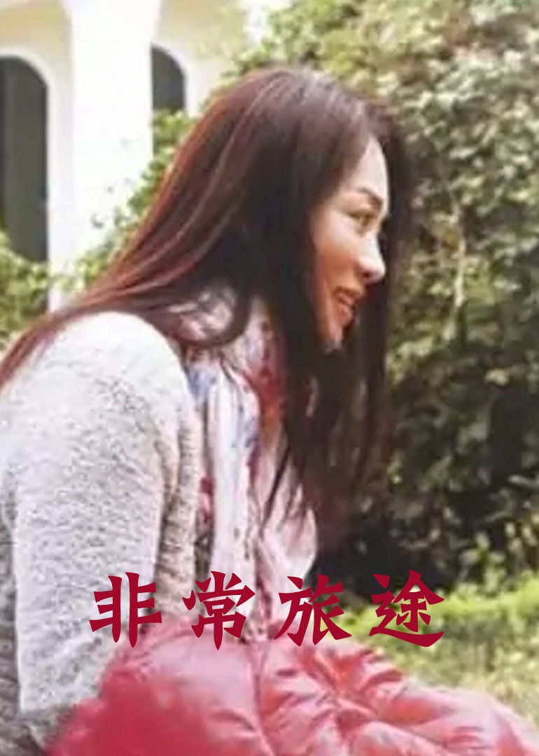 国产三级aⅴ在在线观看