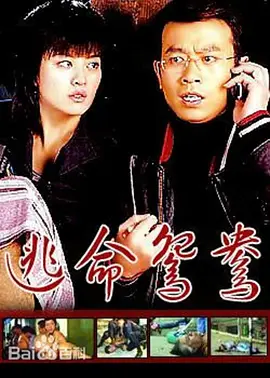 好大好爽视频