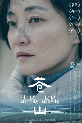 日本无人区码一码二码三码区别