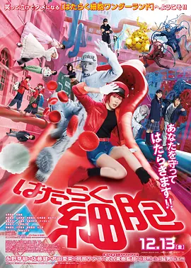 男插女下面视频-高清预告韩国在线观看
