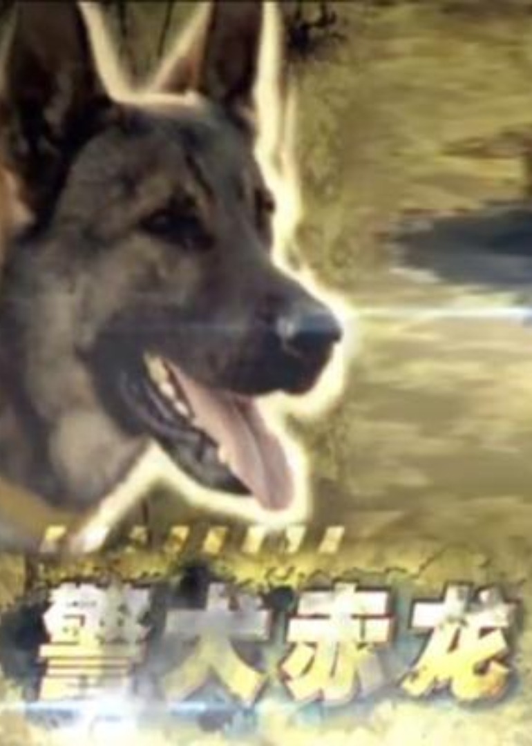 国产白浆久久the