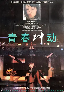 精品视频无码一区二区三区