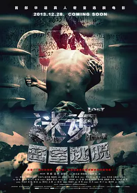 最新h视频