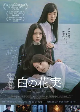 有人有片资源吗免费的视频