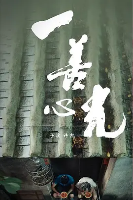 色妞www精品视频
