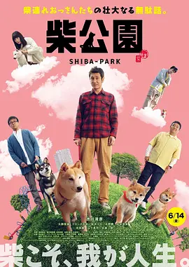 欧美日韩一区二区视频图片