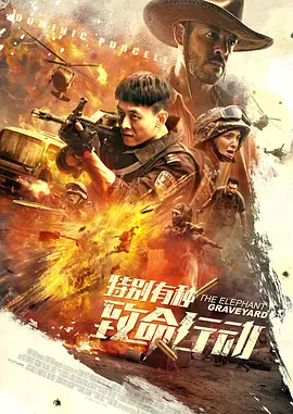 欧美亚洲精品在线
