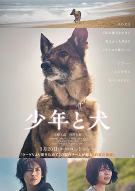 久久精品影视