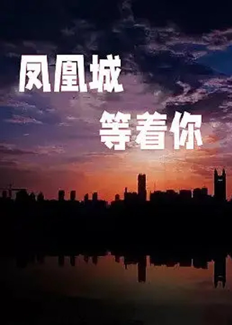 看片免费不卡