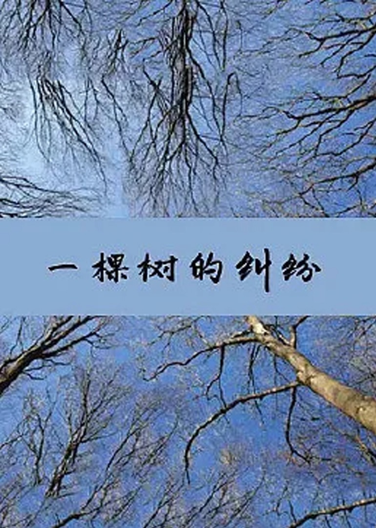91精品专区国产