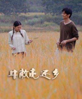 成年奭片免费观看大全部视频