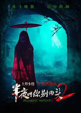 夜夜嗨中文无码视频网