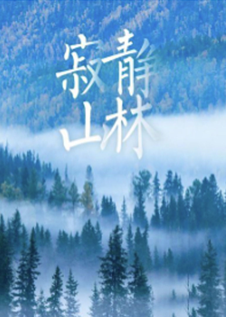 国产精品99久久久久久猫咪 - DVD免费全集观看