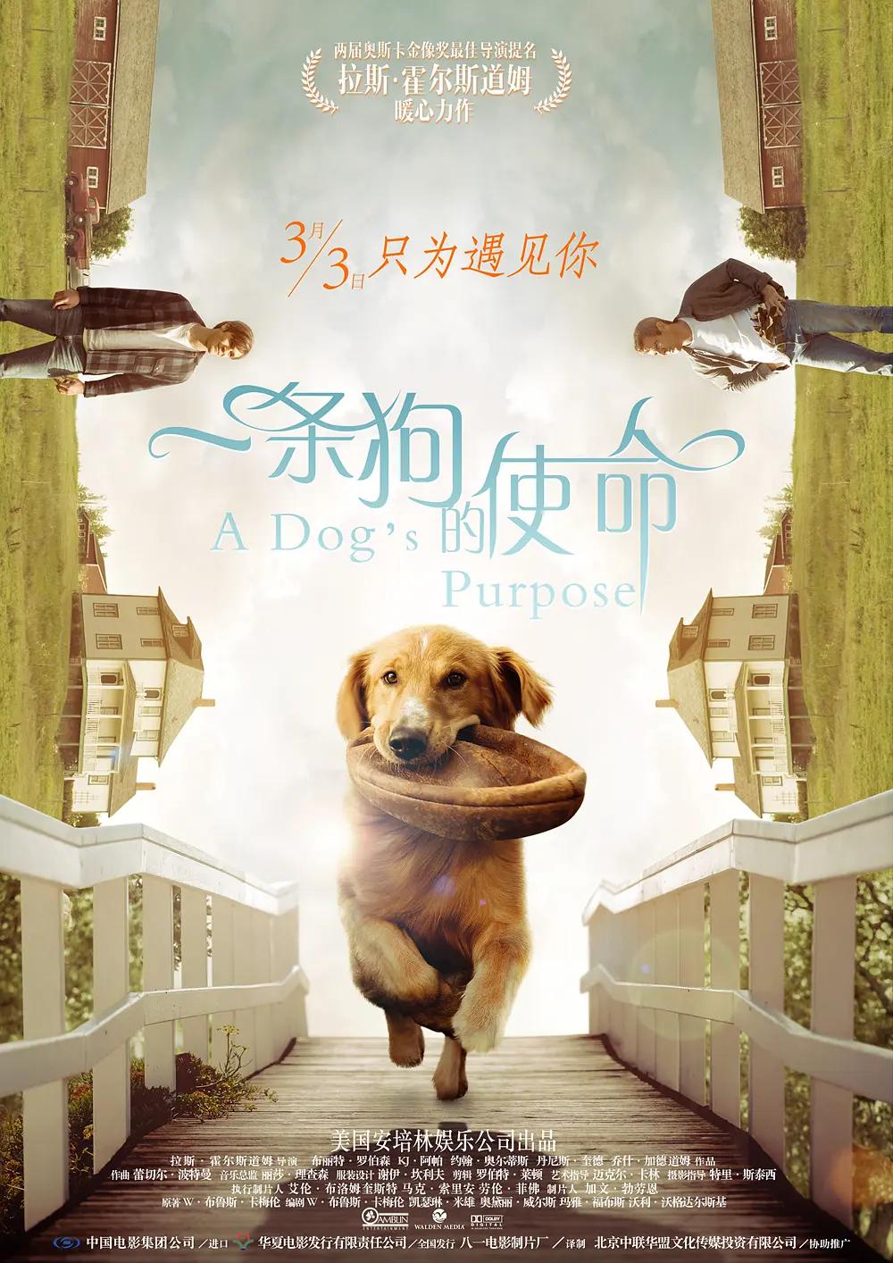 精品热亚洲一级成人久久久