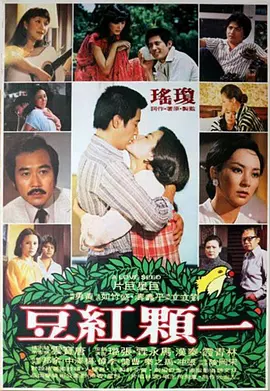 精品视频专区一在线观看
