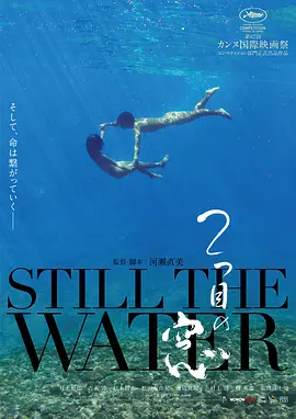 黄色视频链接在线观看
