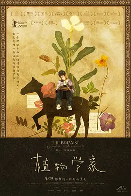 一区二区三区亚洲素人