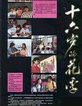 国产亚洲欧美在线专区 - BD免费观看