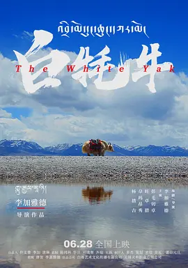 国精产品一区一区三区公司背景