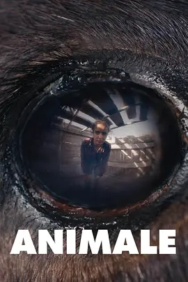 国语的zoofilia杂交videos新