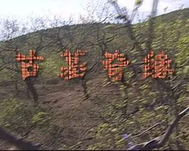 lu福利