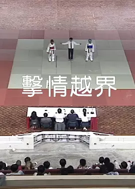 精品视频在线观看